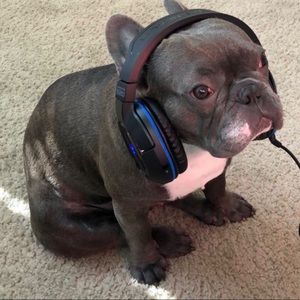 Meet your Posher, James